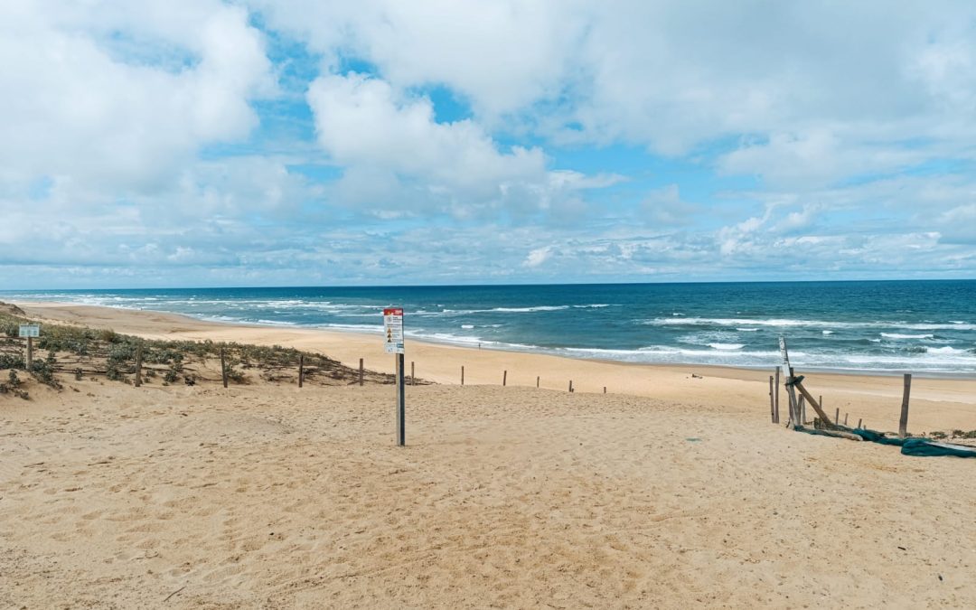 5 raisons de vous offrir des vacances à la plage